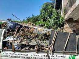 Best Attic Cleanout  in Golden Valley, AZ